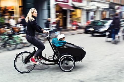 Triobike Mono specificaties